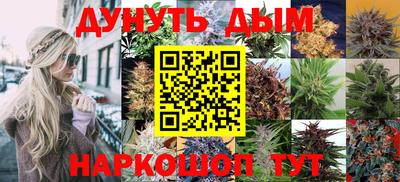 шишки Можайск