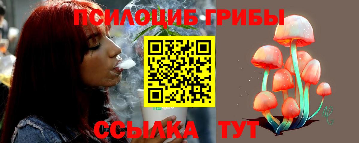 Вичуга  Псилоцибиновые грибы прущие грибы  Вход с VPN 